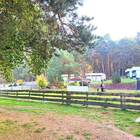 Tiny House Ueckeritz Vila Exterior foto